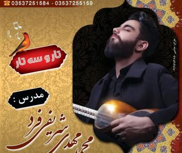 مدرس تـار و سه تـار